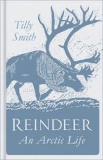 Reindeer An Arctic Life