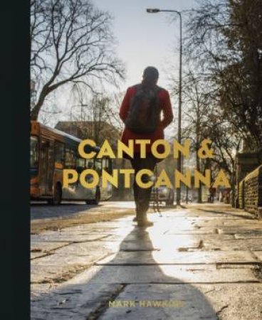 Canton And Pontcanna by Mark Hawkins