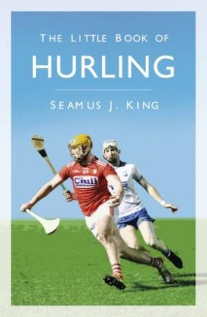 The Little Book Of Hurling by Seamus King