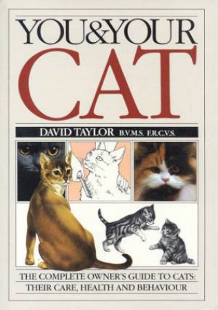 You & Your Cat by David Taylor