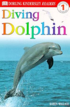 Diving Dolphin by Various