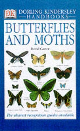 DK Handbook: Butterflies And Moths by Various