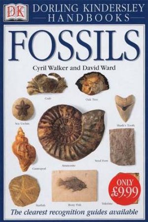 DK Handbook: Fossils by Various