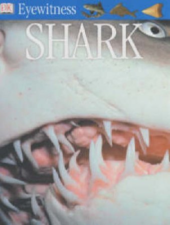 DK Eyewitness Guides: Shark by Miranda Macquitty