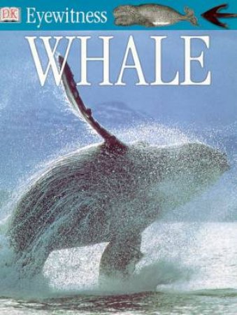 DK Eyewitness Guides: Whale by Vassili Papastavrou