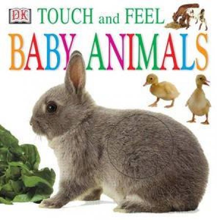 Touch And Feel: Baby Animals by Various