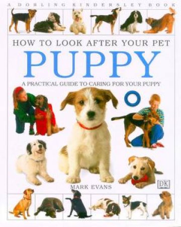 How To Look After Your Pet Puppy by Mark Evans