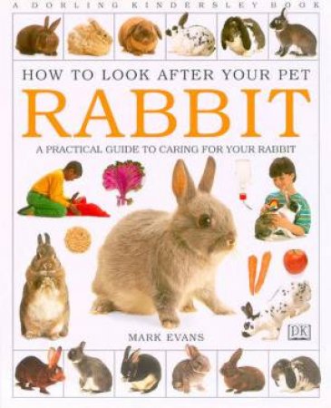 How To Look After Your Pet Rabbit by Mark Evans