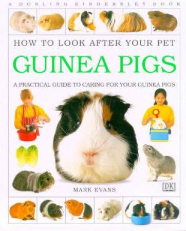 How To Look After Your Pet Guinea Pigs by Mark Evans