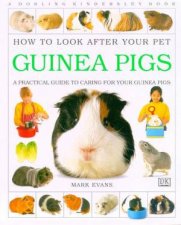 How To Look After Your Pet Guinea Pigs