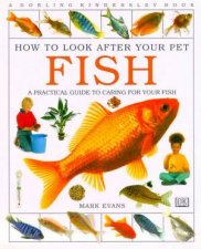 Fish How To Look After Your Pet Fish