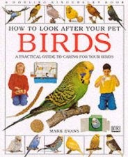 How To Look After Your Pet Bird