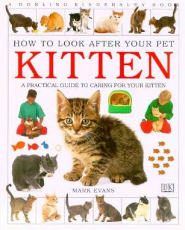 How To Look After Your Pet Kitten by Mark Evans