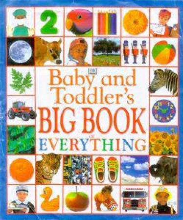 Baby And Toddler's Big Book Of Everything by Various