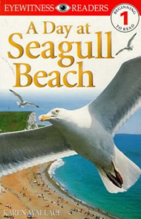 A Day At Seagull Beach by Various