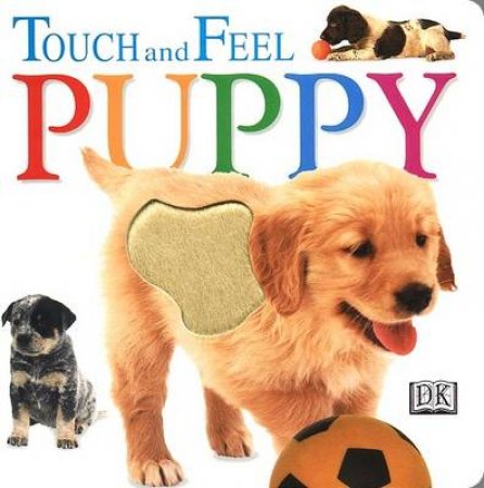 Touch And Feel: Puppy by Various