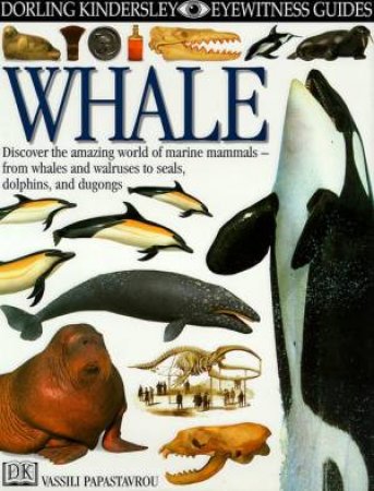 Eyewitness Guides: Whale by Various