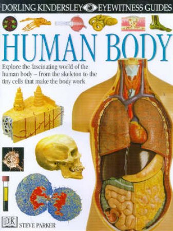 Eyewitness Guides: Human Body by Steve Parker