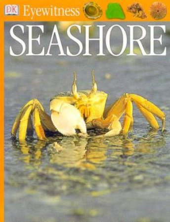 DK Eyewitness Guides: Seashore by Various