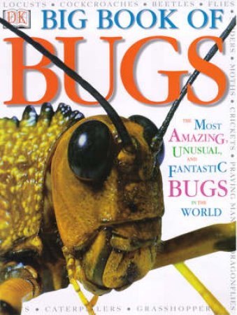 The Big Book Of Bugs by Various