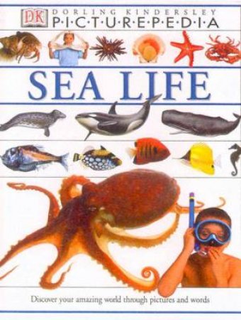 DK Picturepedia: Sea Life by Various