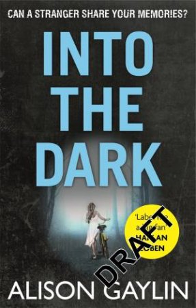 Into the Dark by Alison Gaylin