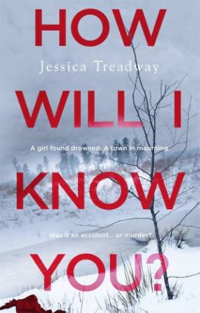 How Will I Know You? by Jessica Treadway