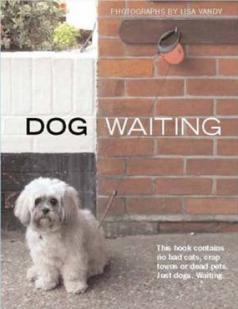 Dog Waiting by Lisa Vardy