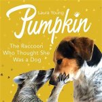 Pumpkin The Raccoon Who Thought She Was A Dog