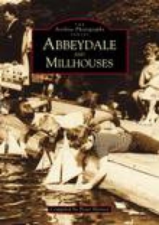 Abbeydale and Millhouses by PETER HARVEY