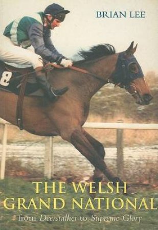 Welsh Grand National by BRIAN LEE