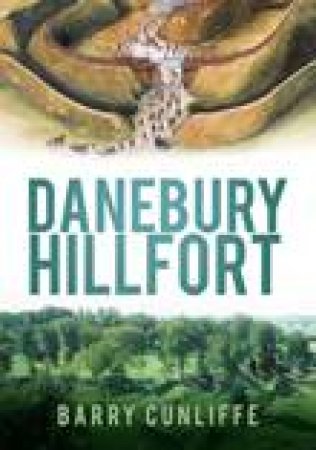 Danebury Hillfort by PROF BARRY CUNLIFFE