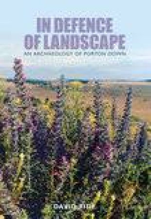 In Defence of Landscape by DAVID RIDE