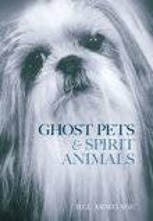 Ghost Pets and Spirit Animals by JILL ARMITAGE