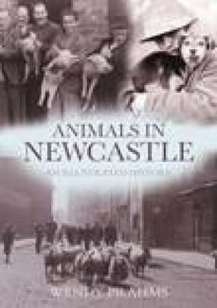 Animals in Newcastle by Wendy Prahms