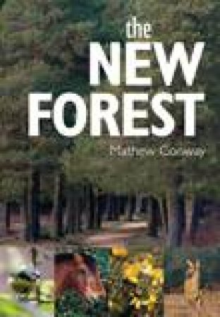 New Forest by Mathew Conway