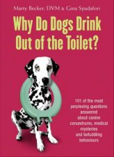 Why Do Dogs Drink Out of the Toilet