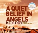 Quiet Belief in Angels 6XCD