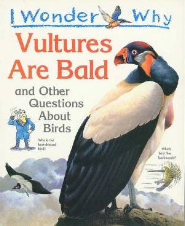 I Wonder Why Vultures Are Bald by Amanda O'Neill