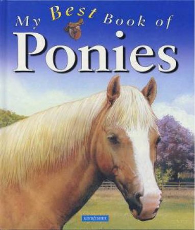 My Best Book Of Ponies by Jackie Budd