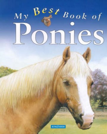 My Best Book Of Ponies by Jackie Budd