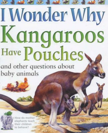 I Wonder Why Kangaroos Have Pouches And Other Questions About Baby Animals by Jenny Wood