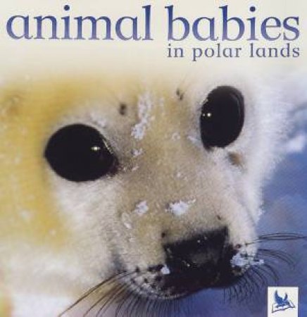 Animal Babies In Polar Lands by Various