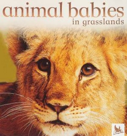 Animal Babies In Grasslands by Various