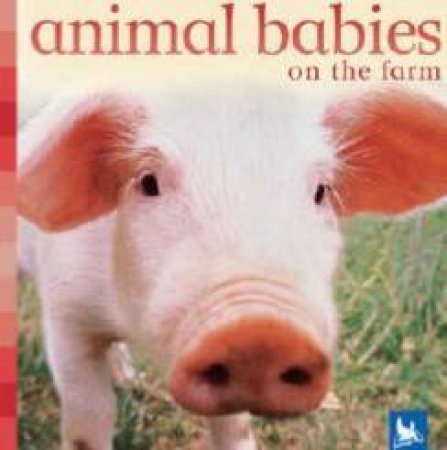 Animal Babies On The Farm by Vicky Weber