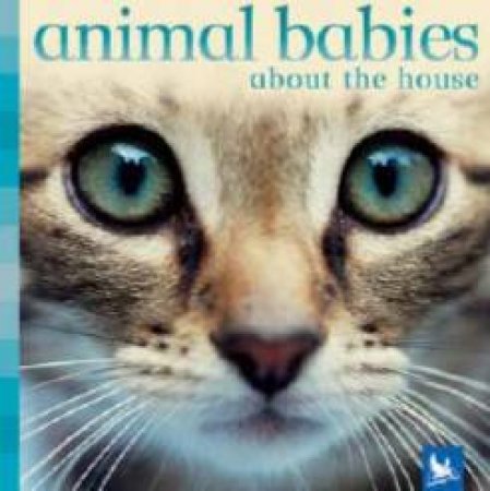 Animal Babies AboutThe House by Vicky Weber