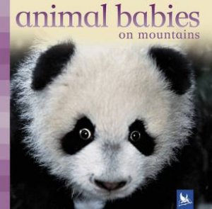 Animal Babies On Mountains by Various