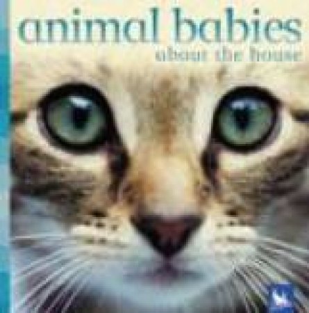 Animal Babies Arount The House by Various