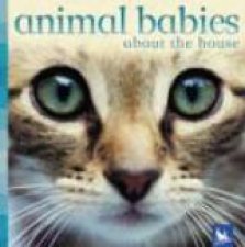 Animal Babies Arount The House