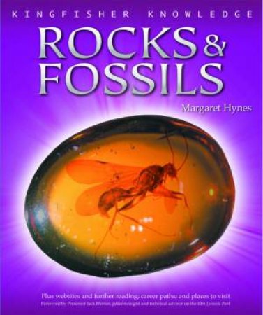 Kingfisher Knowledge Rocks and Fossils by Margaret Hynes